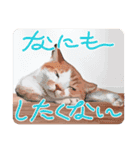 やわらかカラーの日常スタンプ（個別スタンプ：14）