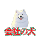 犬味 会社の犬（個別スタンプ：1）