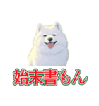 犬味 会社の犬（個別スタンプ：2）