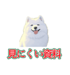 犬味 会社の犬（個別スタンプ：6）