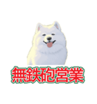 犬味 会社の犬（個別スタンプ：8）