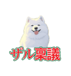 犬味 会社の犬（個別スタンプ：9）
