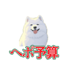 犬味 会社の犬（個別スタンプ：10）