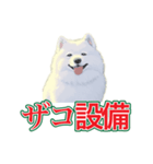 犬味 会社の犬（個別スタンプ：11）