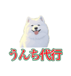 犬味 会社の犬（個別スタンプ：12）