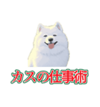 犬味 会社の犬（個別スタンプ：13）