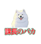 犬味 会社の犬（個別スタンプ：18）