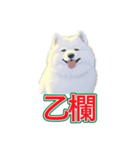 犬味 会社の犬（個別スタンプ：19）