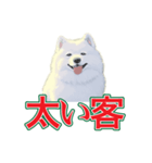 犬味 会社の犬（個別スタンプ：21）