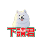 犬味 会社の犬（個別スタンプ：22）