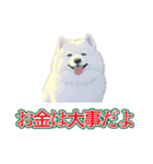 犬味 会社の犬（個別スタンプ：23）