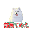 犬味 会社の犬（個別スタンプ：26）