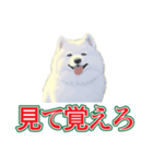 犬味 会社の犬（個別スタンプ：27）