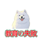 犬味 会社の犬（個別スタンプ：28）