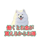 犬味 会社の犬（個別スタンプ：29）