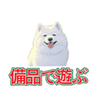 犬味 会社の犬（個別スタンプ：30）
