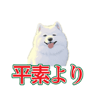 犬味 会社の犬（個別スタンプ：32）