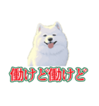 犬味 会社の犬（個別スタンプ：34）