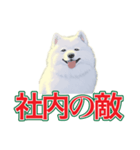 犬味 会社の犬（個別スタンプ：35）