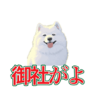 犬味 会社の犬（個別スタンプ：40）