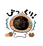 ねこねこワンダーランド☆（個別スタンプ：2）