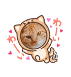 ねこねこワンダーランド☆（個別スタンプ：5）