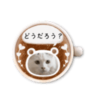 ねこねこワンダーランド☆（個別スタンプ：7）