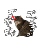 ねこねこワンダーランド☆（個別スタンプ：10）