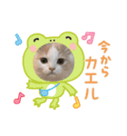 ねこねこワンダーランド☆（個別スタンプ：15）