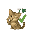 いろんな猫の日常11（個別スタンプ：4）