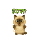 いろんな猫の日常11（個別スタンプ：8）