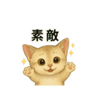 いろんな猫の日常11（個別スタンプ：12）