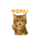 いろんな猫の日常11（個別スタンプ：16）