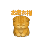 いろんな猫の日常11（個別スタンプ：25）