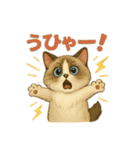 いろんな猫の日常11（個別スタンプ：27）