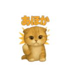 いろんな猫の日常11（個別スタンプ：30）
