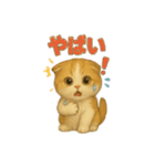 いろんな猫の日常11（個別スタンプ：34）