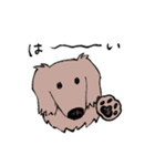 おじさん犬まるちゃん2（個別スタンプ：2）