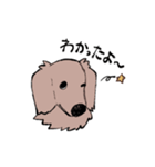 おじさん犬まるちゃん2（個別スタンプ：3）