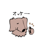 おじさん犬まるちゃん2（個別スタンプ：4）