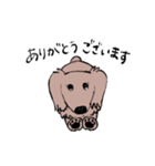 おじさん犬まるちゃん2（個別スタンプ：5）