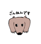おじさん犬まるちゃん2（個別スタンプ：11）