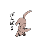 おじさん犬まるちゃん2（個別スタンプ：13）
