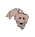 おじさん犬まるちゃん2（個別スタンプ：22）