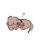 おじさん犬まるちゃん2（個別スタンプ：23）