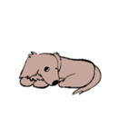 おじさん犬まるちゃん2（個別スタンプ：24）