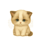 Wordless Cat Moods（個別スタンプ：3）