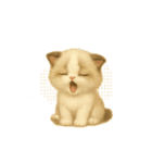 Wordless Cat Moods（個別スタンプ：4）