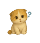 Wordless Cat Moods（個別スタンプ：12）