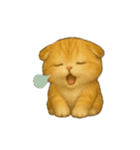 Wordless Cat Moods（個別スタンプ：17）